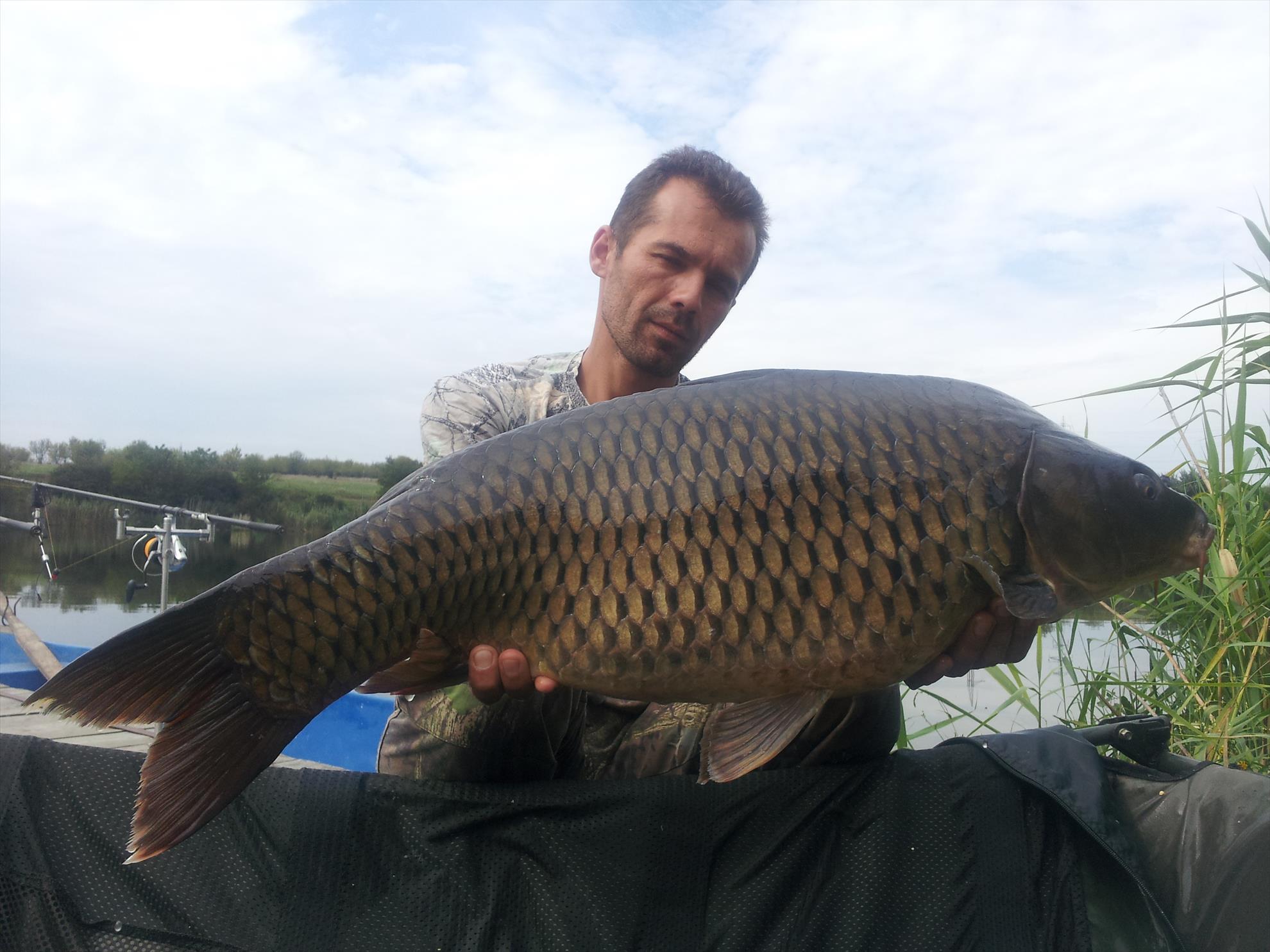 Tancabesti 31 august - 7 septembrie 2014 - 20140907113043.jpg